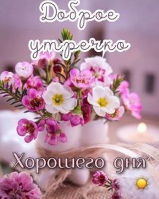 Открытка «С добрым утром»: С добрым утром! Нежные цветы и хорошего дня. Тэги: пожелание, позитивная, хорошего дня…