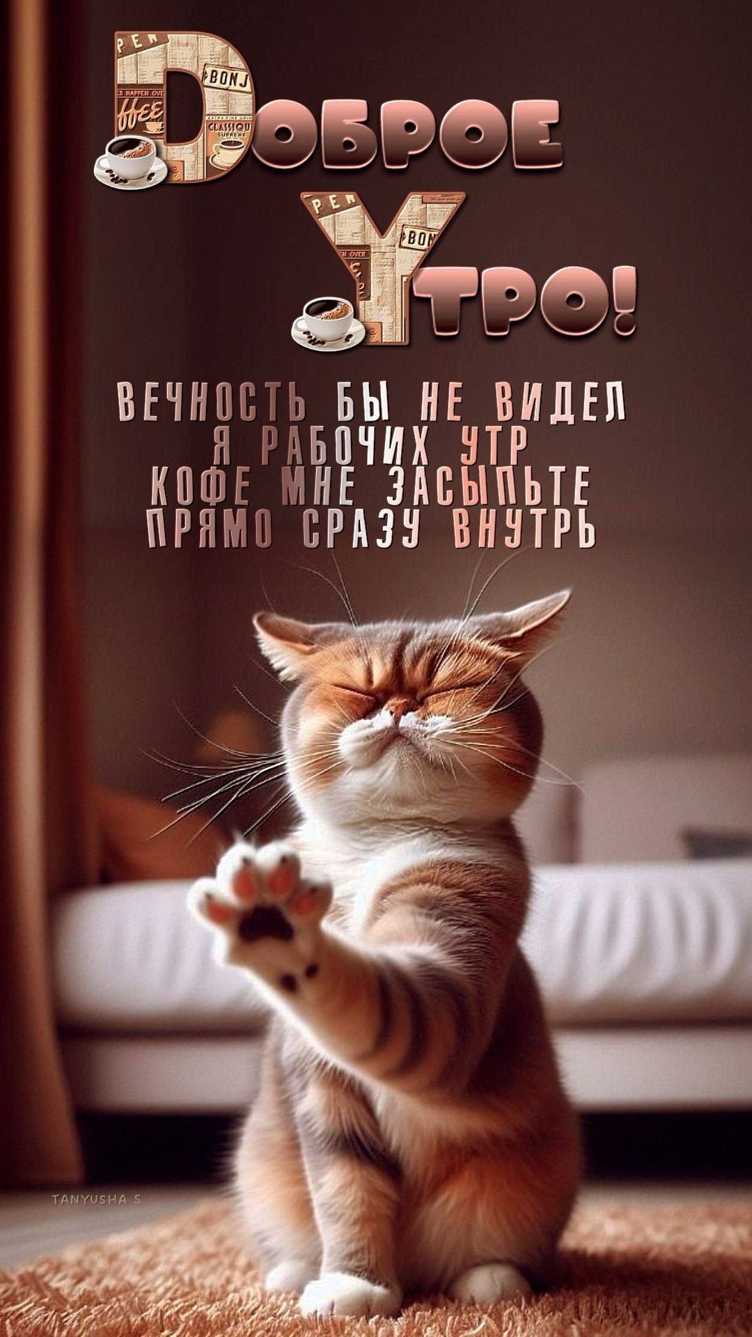 Открытка «С добрым утром»: Кот и доброе утро: Кофе мне засыпьте сразу внутрь!. Тэги: кот, животное, пожелание, позити…