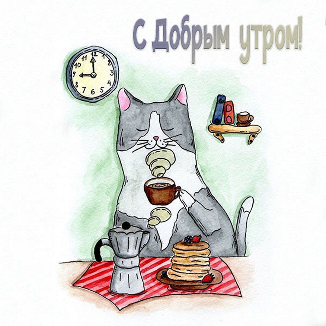 Открытка «С добрым утром»: Завтрак с котом: С добрым утром!. Тэги: кот, животное, пожелание, позитивная, утро, красив…
