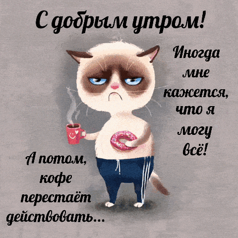 Открытка «С добрым утром»: С добрым утром: юмор про кофе и кота. Тэги: кот, животное, пожелание, отличное настроение…