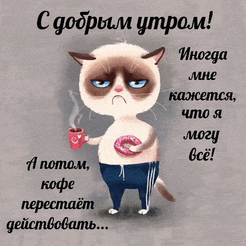 Открытка «С добрым утром»: С добрым утром: юмор про кофе и кота. Тэги: кот, животное, пожелание, отличное настроение…