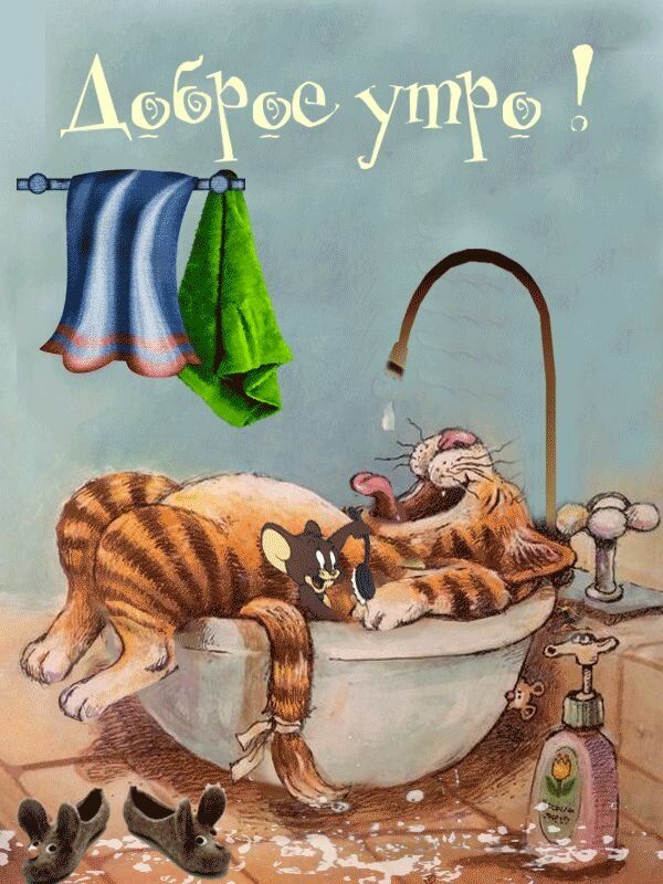 Открытка «С добрым утром»: Доброе утро: кот и мышь веселятся в ванной!. Тэги: кот, животное, пожелание, позитивная…