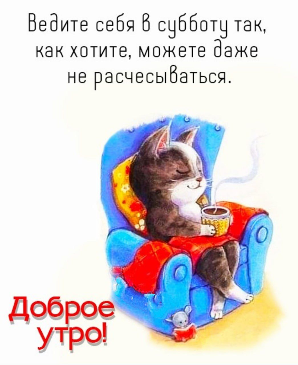 Открытка «С добрым утром»: Субботнее доброе утро: расслабься как кот!. Тэги: кот, животное, пожелание, позитивная…