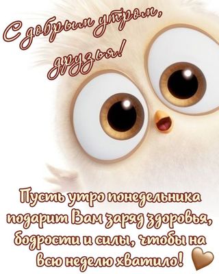 Открытка «С добрым утром»: С добрым утром, друзья! Пусть понедельник будет бодрым. Тэги: пожелание, позитивная…