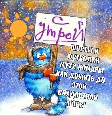 Открытка «С добрым утром»: Доброе утро: как дожить до лета?. Тэги: кот, животное, пожелание, позитивная, юмор, прикол…