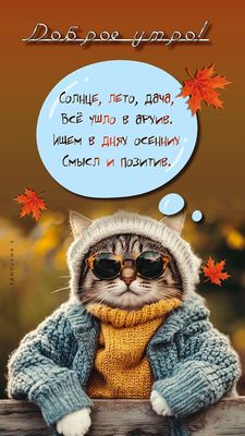 Открытка «С добрым утром»: Доброе утро: осенний кот и мудрость дня!. Тэги: кот, животное, пожелание, позитивная…