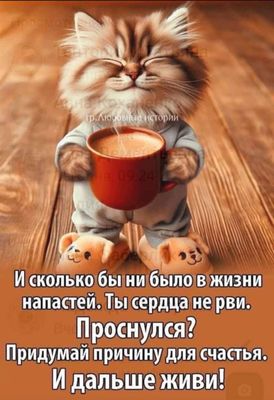 Открытка «С добрым утром»: Доброе утро: Пушистый позитив и причина для счастья. Тэги: кот, животное, пожелание…