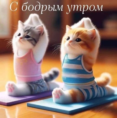 Открытка «С добрым утром»: Заряд бодрости с утра: милые котики на йоге. Тэги: кот, животное, пожелание, позитивная…