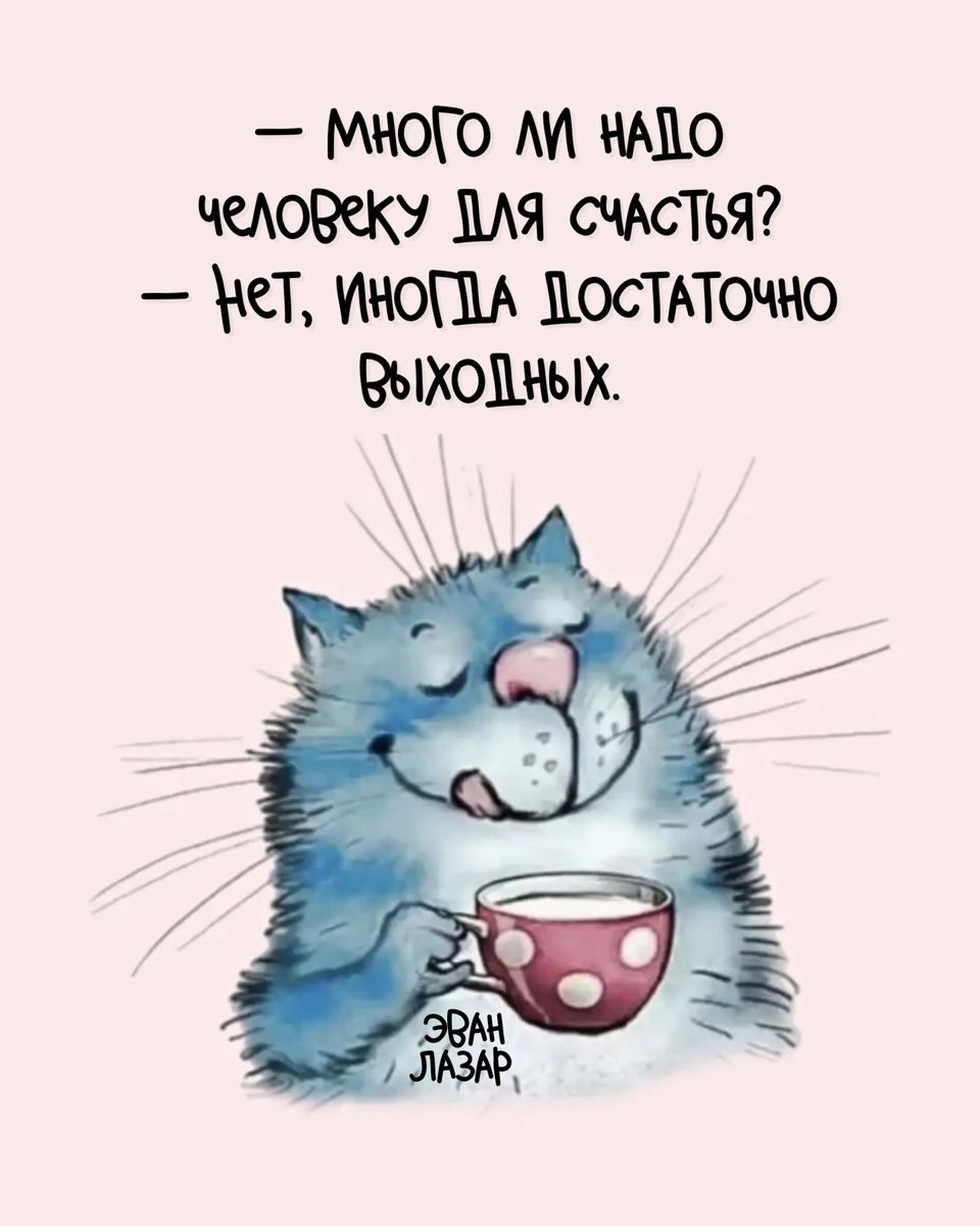 Открытка «С добрым утром»: С добрым утром! Счастье в чашке и выходных.. Тэги: кот, животное, пожелание, отличное наст…