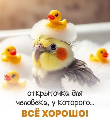 Открытка «С добрым утром»: С добрым утром: открытка для тех, у кого всё хорошо!. Тэги: животное, пожелание, позитивная…