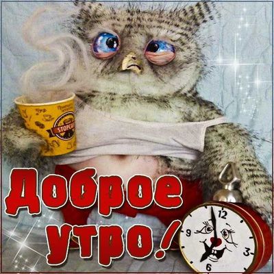 Открытка «С добрым утром»: Доброе утро: когда нужен кофе!. Тэги: кот, животное, пожелание, отличное настроение, юмор…