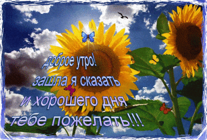 Открытка «С добрым утром»: Яркое утро: пожелание доброго дня с подсолнухами. Тэги: пожелание, позитивная, хорошего дня…