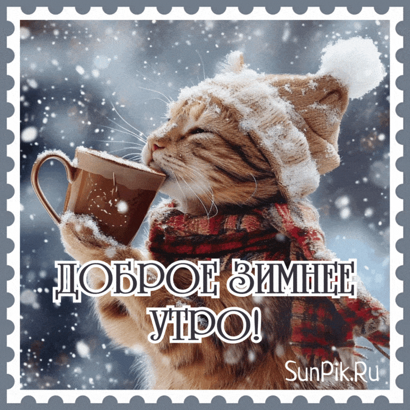 Открытка «С добрым утром»: Доброе зимнее утро с чашкой тепла и милым котом!. Тэги: кот, животное, пожелание, позитивн…