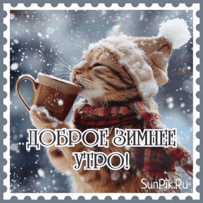 Открытка «С добрым утром»: Доброе зимнее утро с чашкой тепла и милым котом!. Тэги: кот, животное, пожелание, позитивн…