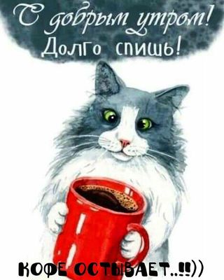 Открытка «С добрым утром»: Просыпайся! Пушистый кот и кофе ждут! С добрым утром!. Тэги: кот, животное, пожелание…