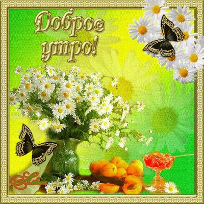 Открытка «С добрым утром»: Нежное утро с ромашками и сочными абрикосами. Тэги: пожелание, позитивная, утро, друг…