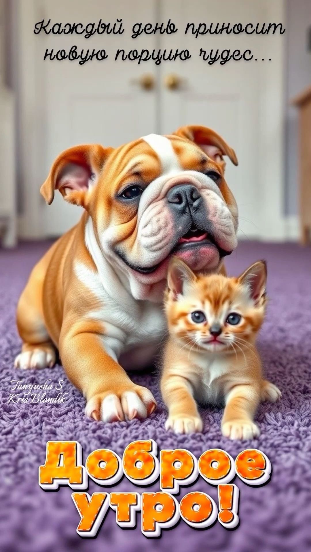 Открытка «С добрым утром»: Милые друзья желают доброго утра!. Тэги: кот, животное, пожелание, позитивная, хорошего дня…
