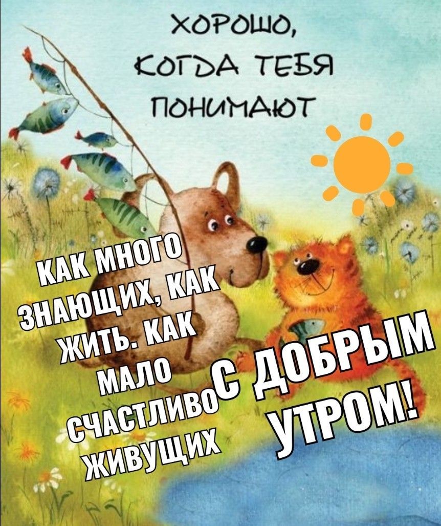 Открытка «С добрым утром»: С добрым утром! Понимания и счастья!. Тэги: кот, животное, пожелание, позитивная, юмор…
