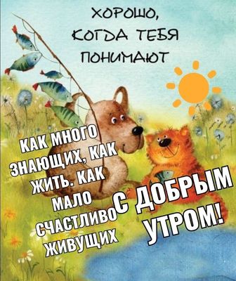 Открытка «С добрым утром»: С добрым утром! Понимания и счастья!. Тэги: кот, животное, пожелание, позитивная, юмор…