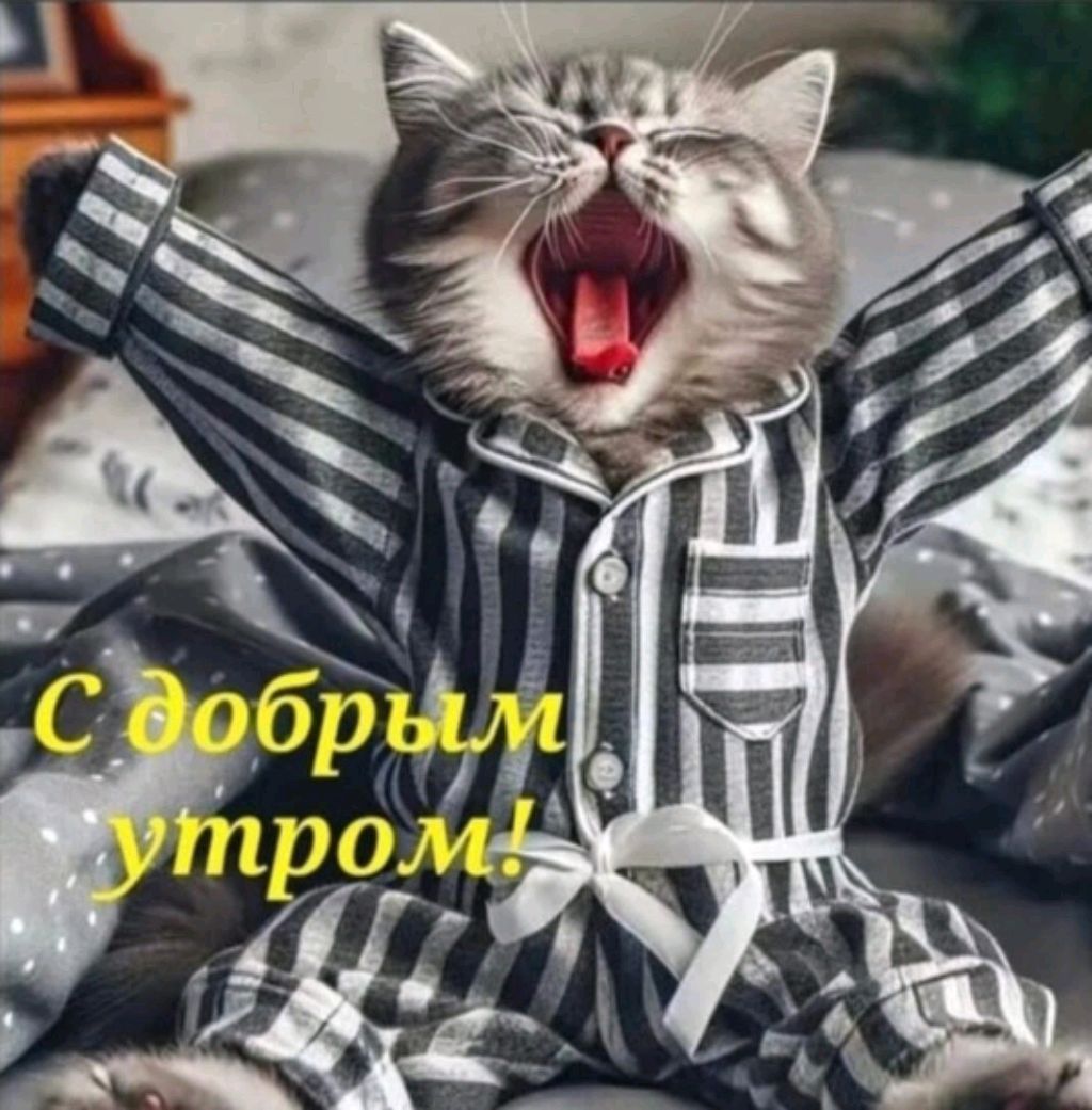 Открытка «С добрым утром»: Кот в пижаме желает доброго утра!. Тэги: кот, животное, пожелание, позитивная, отличное на…
