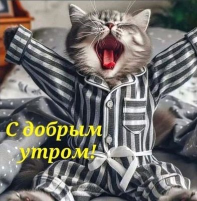 Открытка «С добрым утром»: Кот в пижаме желает доброго утра!. Тэги: кот, животное, пожелание, позитивная, отличное на…