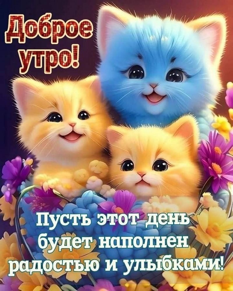 Открытка «С добрым утром»: Доброе утро! Пушистые котята желают радости и улыбок. Тэги: кот, животное, пожелание…