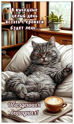 Открытка «С добрым утром»: Доброе утро! Ленивые выходные с котом и кофе. Тэги: кот, животное, пожелание, позитивная…