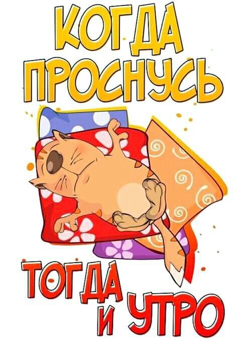 Открытка «С добрым утром»: Утро по своим правилам: забавный кот на подушках. Тэги: кот, животное, пожелание, позитивн…