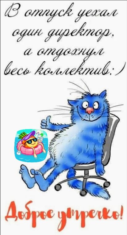 Открытка «С добрым утром»: С добрым утром! Директор в отпуске, коллектив отдыхает. Тэги: кот, животное, пожелание…