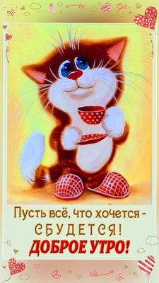 Открытка «С добрым утром»: Доброе утро! Пусть мечты сбываются!. Тэги: кот, животное, пожелание, позитивная, отличное…