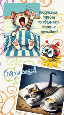 Открытка «С добрым утром»: Пусть утро будет добрым, а понедельник не придет!. Тэги: кот, животное, пожелание, позитив…