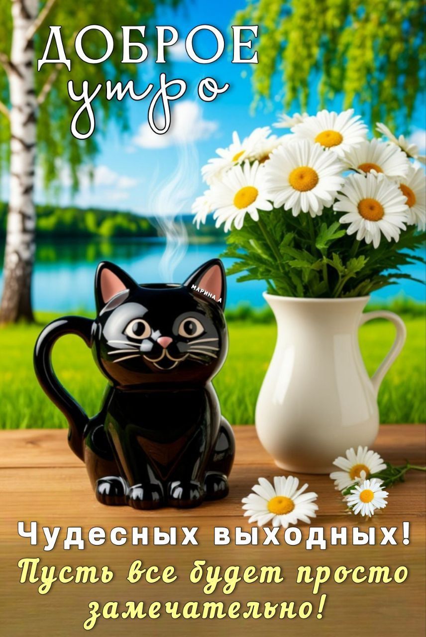 Открытка «С добрым утром»: Доброе утро и чудесных выходных!. Тэги: кот, животное, пожелание, позитивная, отличное нас…