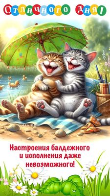 Открытка «С добрым утром»: С добрым утром: весёлые котики и отличное настроение!. Тэги: кот, животное, пожелание…