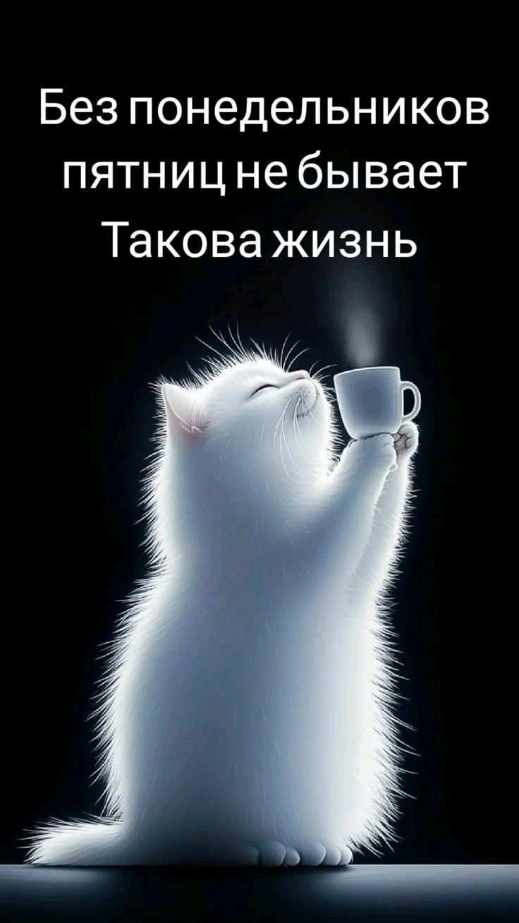 Открытка «С добрым утром»: Доброе утро: кот, кофе и жизненная мудрость. Тэги: кот, животное, пожелание, позитивная…