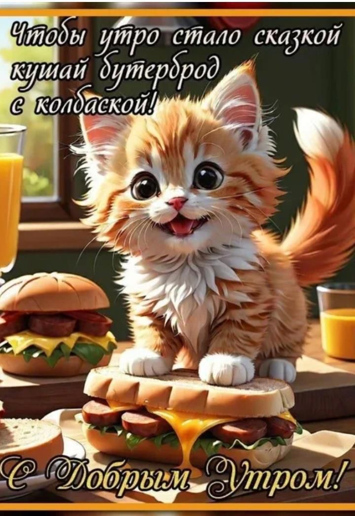 Открытка «С добрым утром»: Пушистый завтрак для доброго утра и сказки дня!. Тэги: кот, животное, пожелание, позитивная…