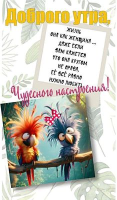 Открытка «С добрым утром»: С добрым утром! Забавные птички для настроения. Тэги: животное, пожелание, позитивная…