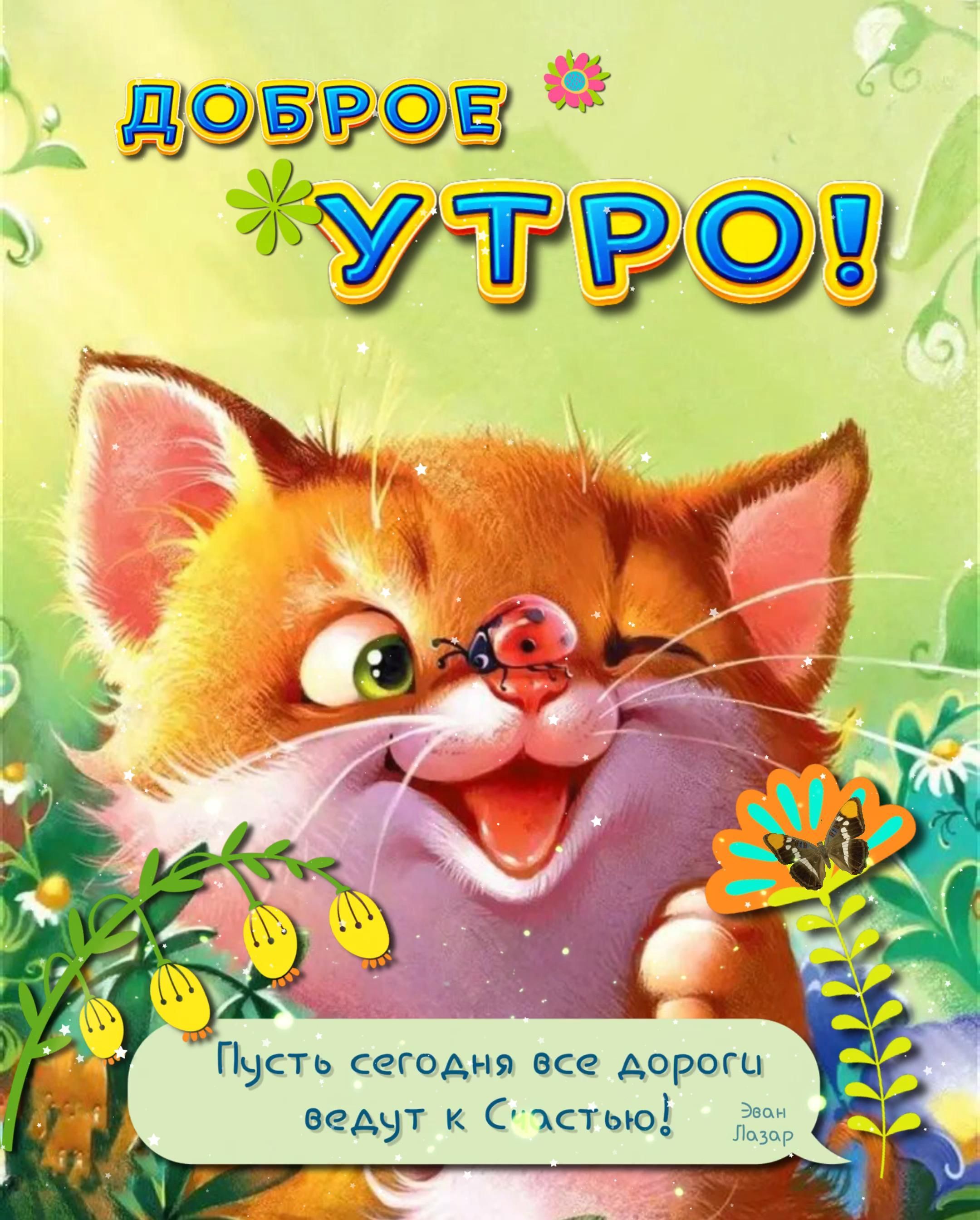 Открытка «С добрым утром»: Доброе утро: пусть дороги ведут к счастью!. Тэги: кот, животное, пожелание, позитивная…