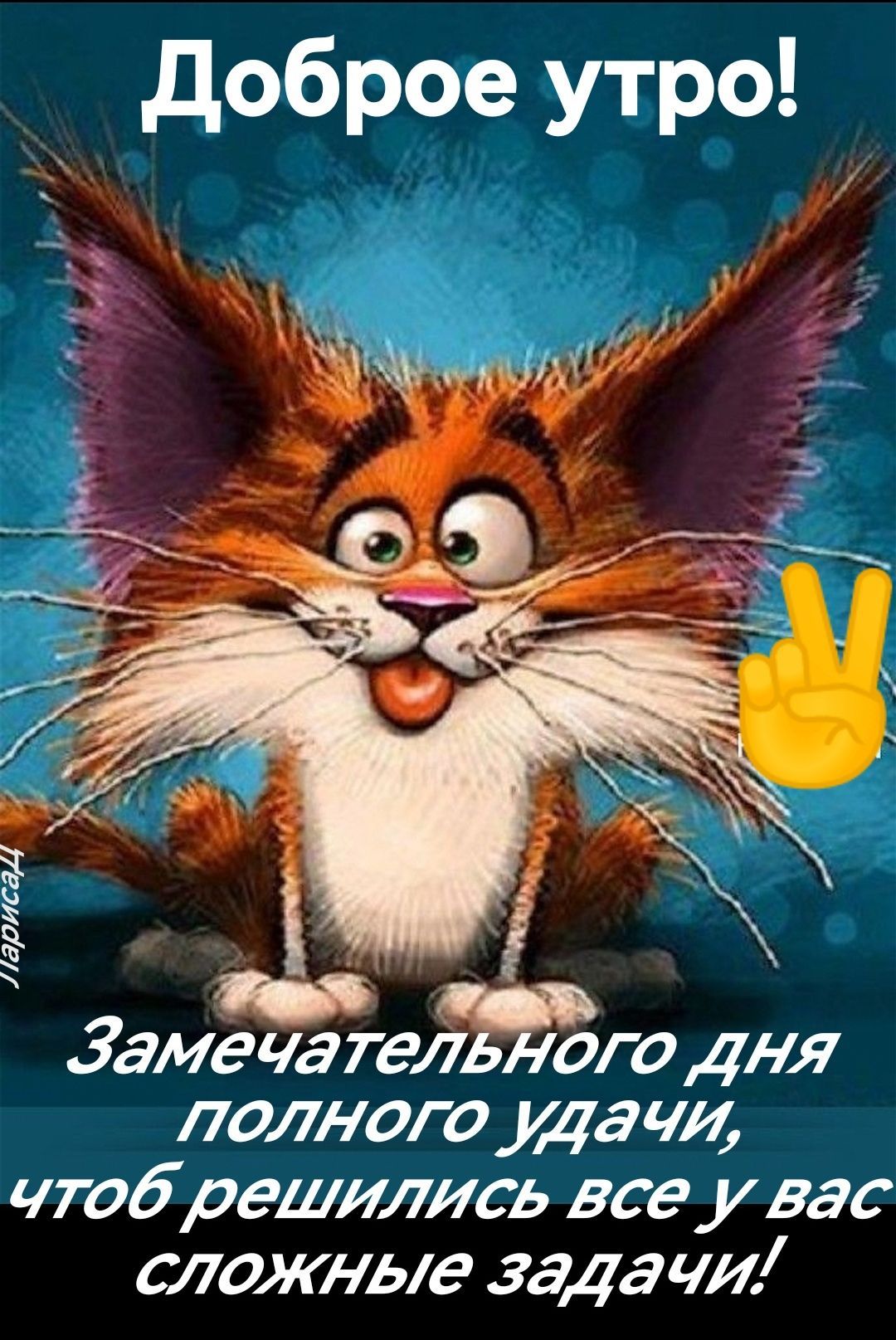 Открытка «С добрым утром»: Доброе утро! Удачного дня с забавным котом. Тэги: кот, животное, пожелание, позитивная…