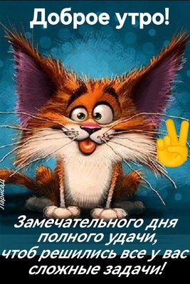 Открытка «С добрым утром»: Доброе утро! Удачного дня с забавным котом. Тэги: кот, животное, пожелание, позитивная…