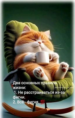 Открытка «С добрым утром»: С добрым утром: кот, кофе и жизненная мудрость. Тэги: кот, пожелание, позитивная, отличное…