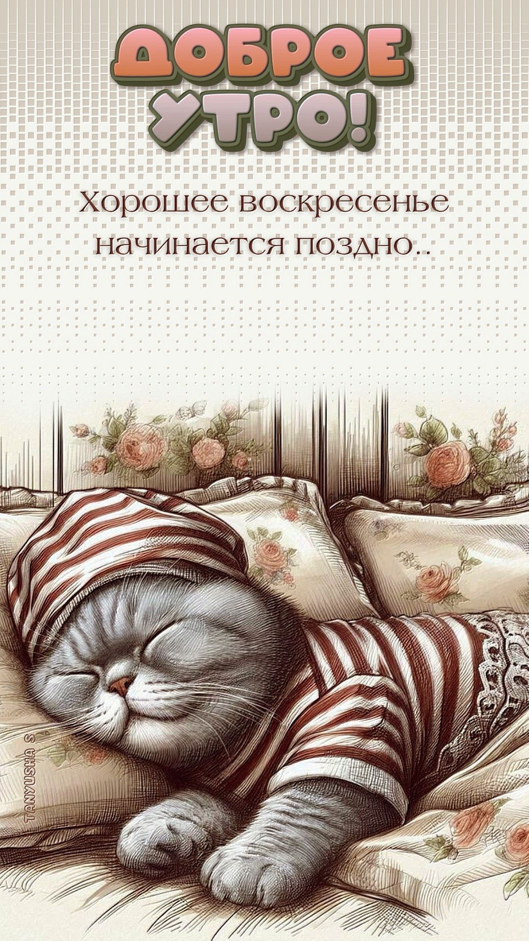 Открытка «С добрым утром»: Доброе утро: воскресенье для милых сонь. Тэги: кот, животное, пожелание, позитивная, шапка…