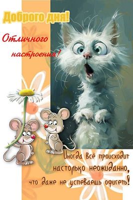 Открытка «С добрым утром»: С Добрым Утром: Пушистый Сюрприз и Отличный День. Тэги: кот, животное, пожелание, позитивн…