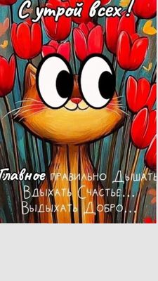 Открытка «С добрым утром»: Доброе утро: Вдыхай счастье, выдыхай добро!. Тэги: кот, животное, пожелание, позитивная…