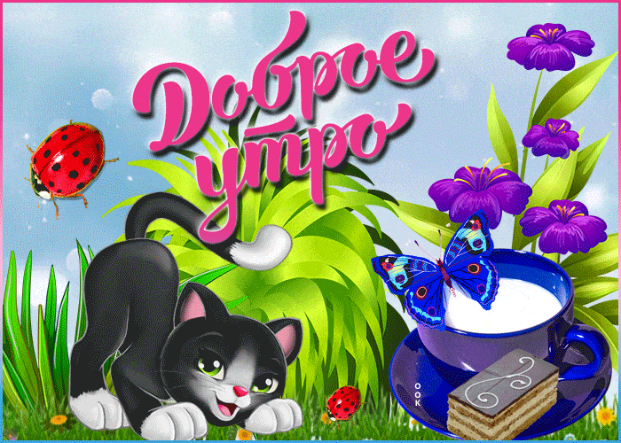 Открытка «С добрым утром»: С добрым утром: пушистый друг и весенняя свежесть. Тэги: кот, животное, пожелание, позитив…