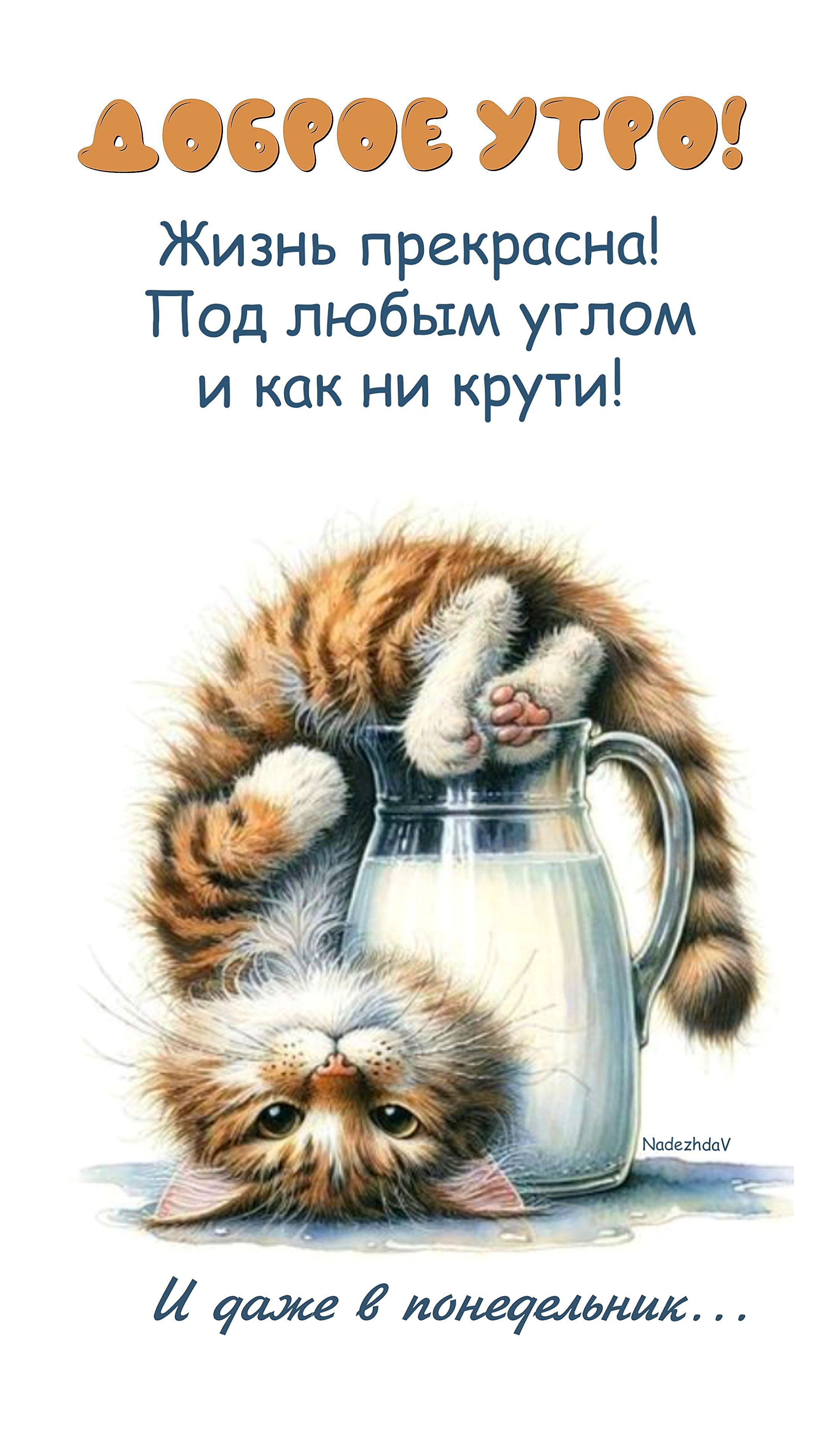 Открытка «С добрым утром»: Доброе утро: жизнь прекрасна, даже в понедельник!. Тэги: кот, животное, пожелание, позитив…