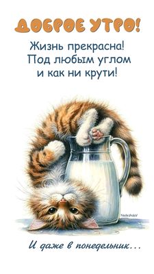 Открытка «С добрым утром»: Доброе утро: жизнь прекрасна, даже в понедельник!. Тэги: кот, животное, пожелание, позитив…