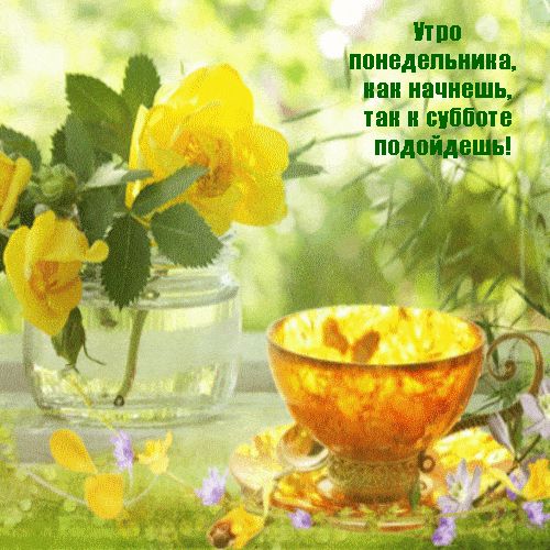 Открытка «С добрым утром»: Как начнешь понедельник, так и неделю проведешь!. Тэги: пожелание, позитивная, хорошего дня…