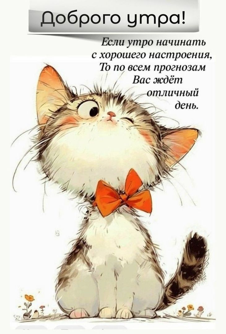 Открытка «С добрым утром»: Доброго утра: пусть день будет отличным!. Тэги: кот, животное, пожелание, позитивная…