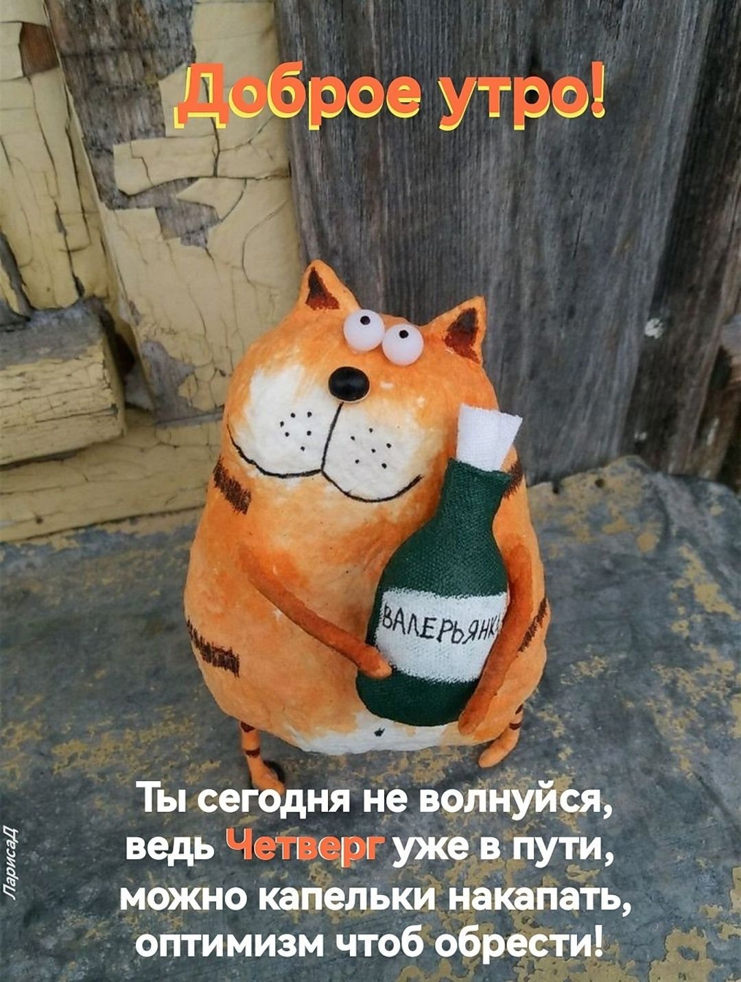 Открытка «С добрым утром»: Доброе утро четверга с котом и оптимизмом!. Тэги: кот, животное, пожелание, позитивная…