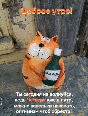 Открытка «С добрым утром»: Доброе утро четверга с котом и оптимизмом!. Тэги: кот, животное, пожелание, позитивная…